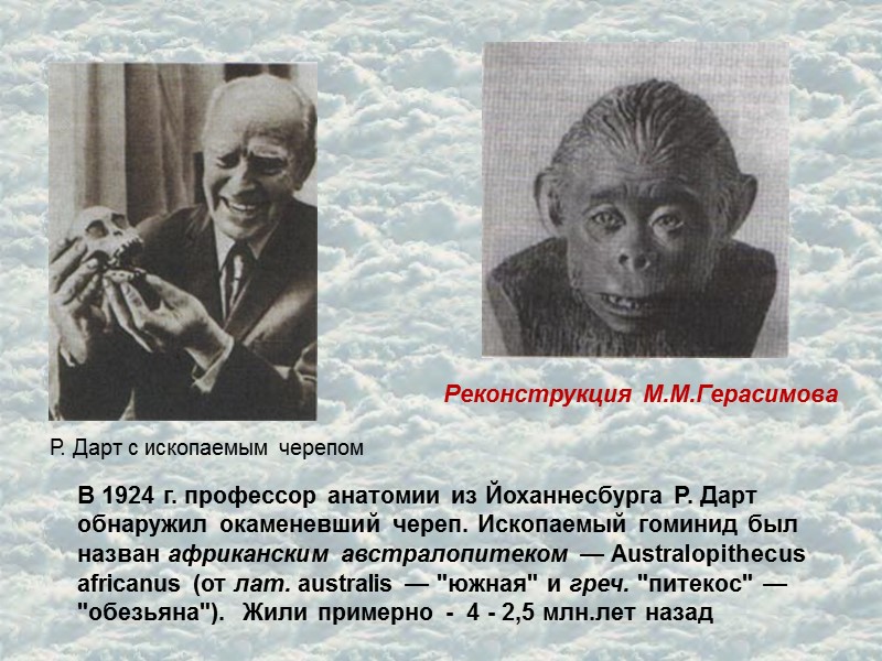 Реконструкция М.М.Герасимова Р. Дарт с ископаемым черепом В 1924 г. профессор анатомии из Йоханнесбурга